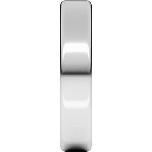 14K White Gold 5 mm Heavyweight Round-Edge Comfort-Fit Flat Band. REH10:5004:P