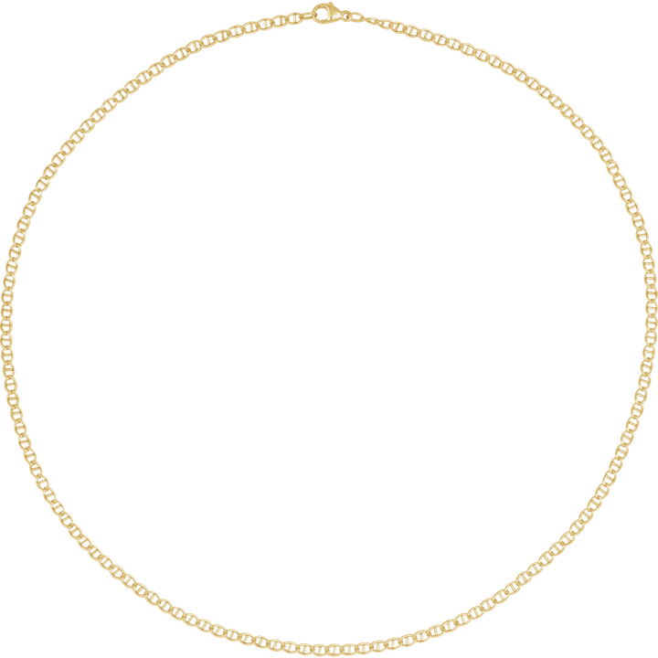 14K Yellow Gold 2.6 mm Anchor Chain