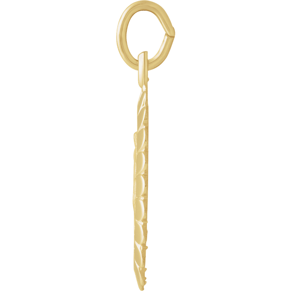 14K Yellow Gold 17x11 mm Oval Miraculous Medal