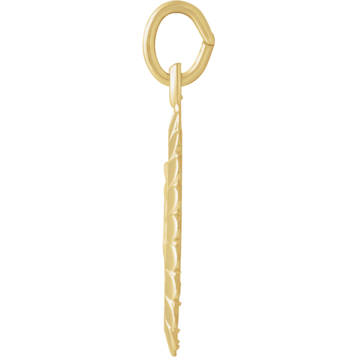 14K Yellow Gold 17x11 mm Oval Miraculous Medal